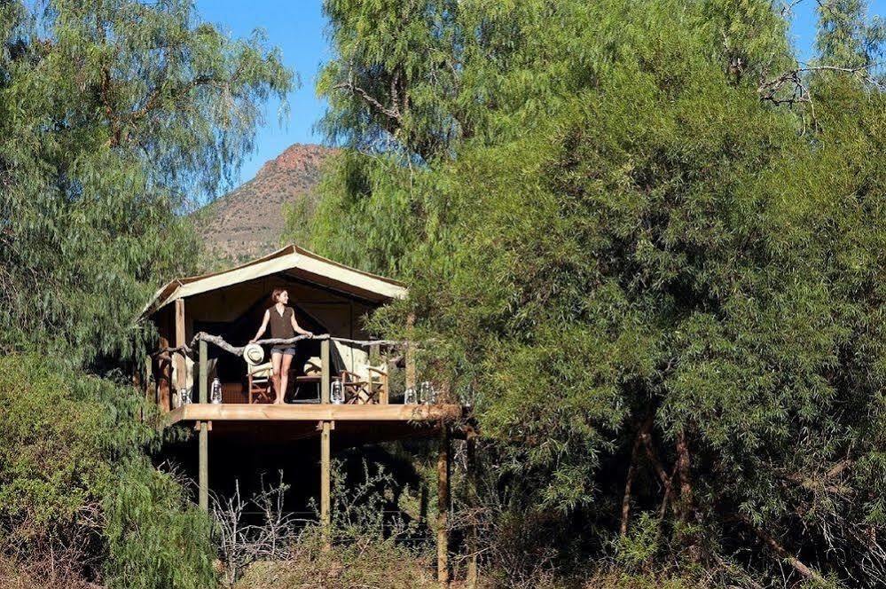 Mount Camdeboo Private Game Reserve By Newmark Graaff-Reinet Εξωτερικό φωτογραφία